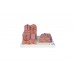 model wątroby - 3b smart anatomy - 1000312 [k24] 3b scientific modele anatomiczne 3